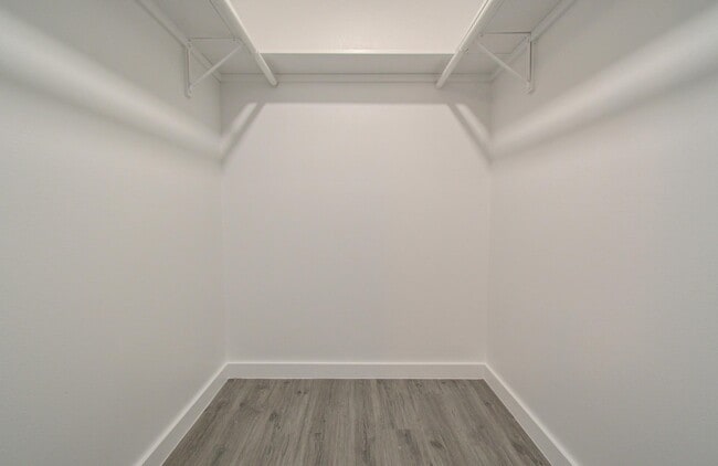 Building Photo - 809 Brook Hollow Dr