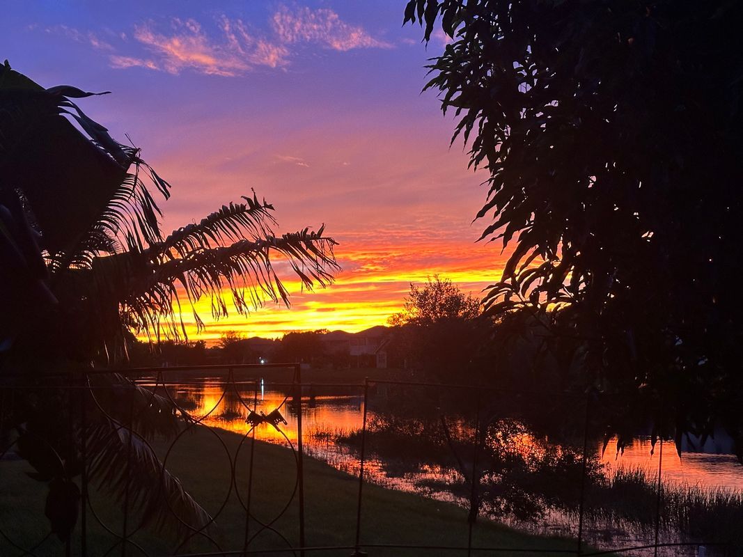 Building Photo - 2165 Newport Isles Blvd