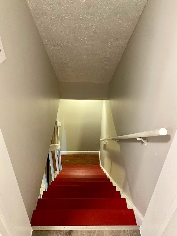 Stairs to Basement - 30 Clayton St