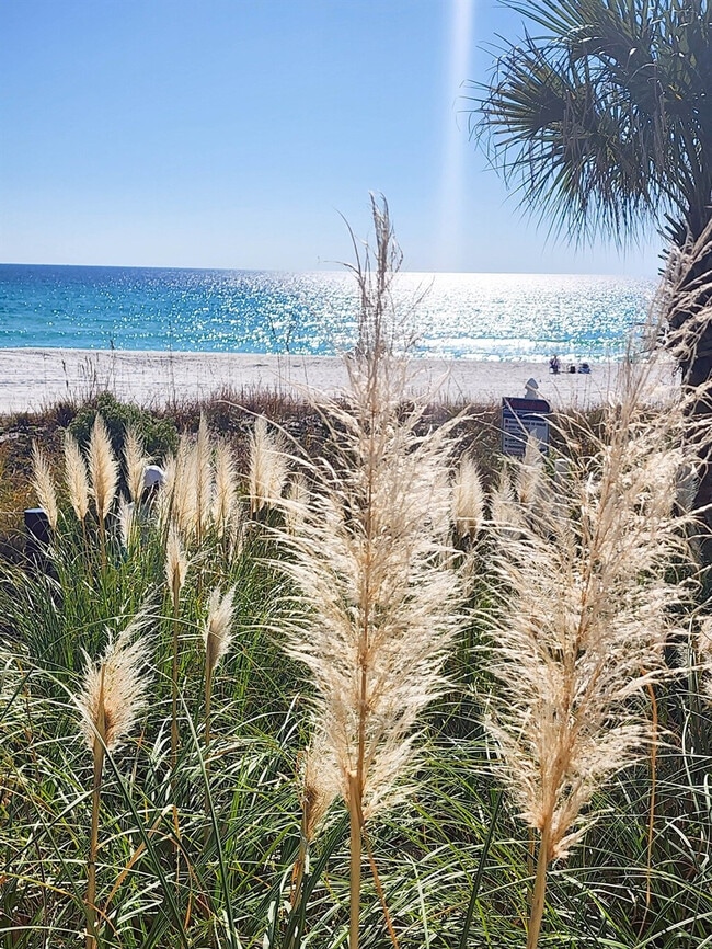 Building Photo - 11832 Front Beach Rd