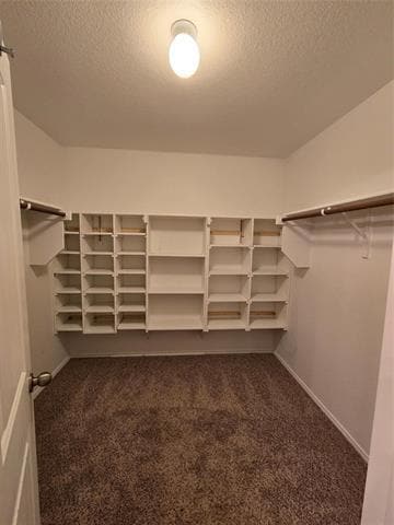 Building Photo - 11613 Cape Cod Springs Dr