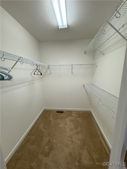 Building Photo - 10298 Ibis Dr