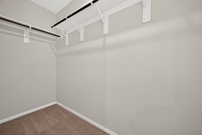 Building Photo - 16039 Kingfield Haven Dr