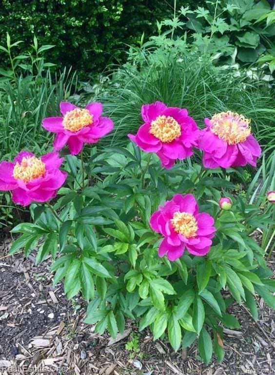 Building Photo - 5837 Folkstone Dr