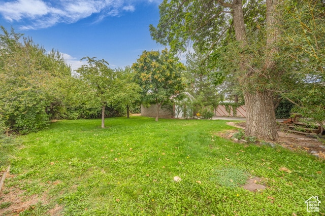 Building Photo - 579 S Connie Dr