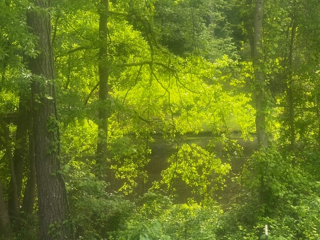 Building Photo - 703 Georgetown Cir