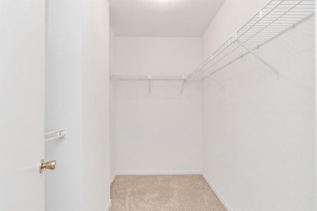 Building Photo - 9800 Pagewood Ln