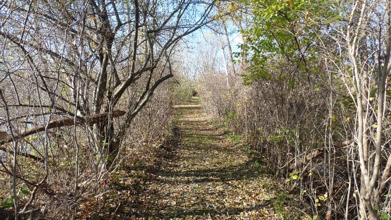 Building Photo - 11871 21 Mile Rd