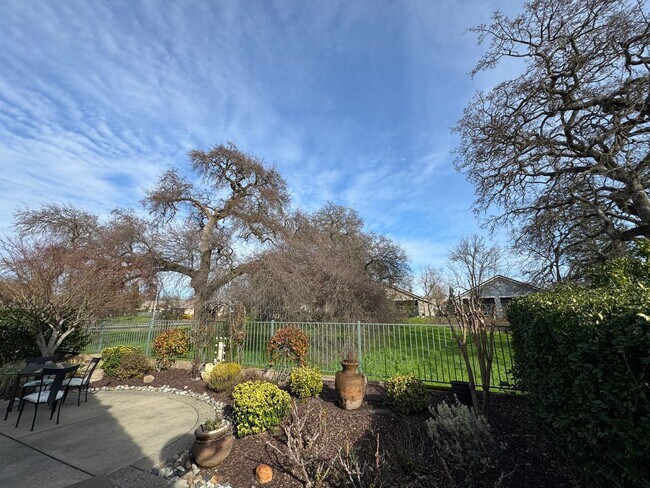 Building Photo - DEL WEBB 55+ Adult Community in Roseville!