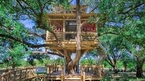 Building Photo - 11230 White Crownbeard Dr