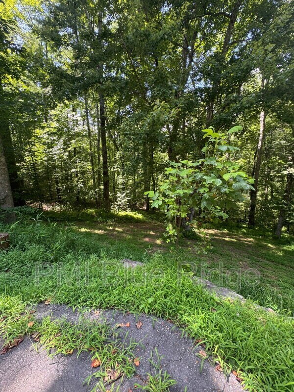 Building Photo - 46 Madison Heights Dr