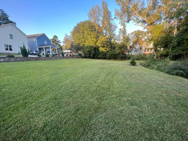 Large Backyard - 403 College St