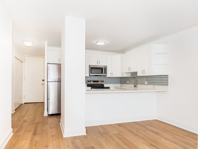 Building Photo - 1540 N La Salle Dr