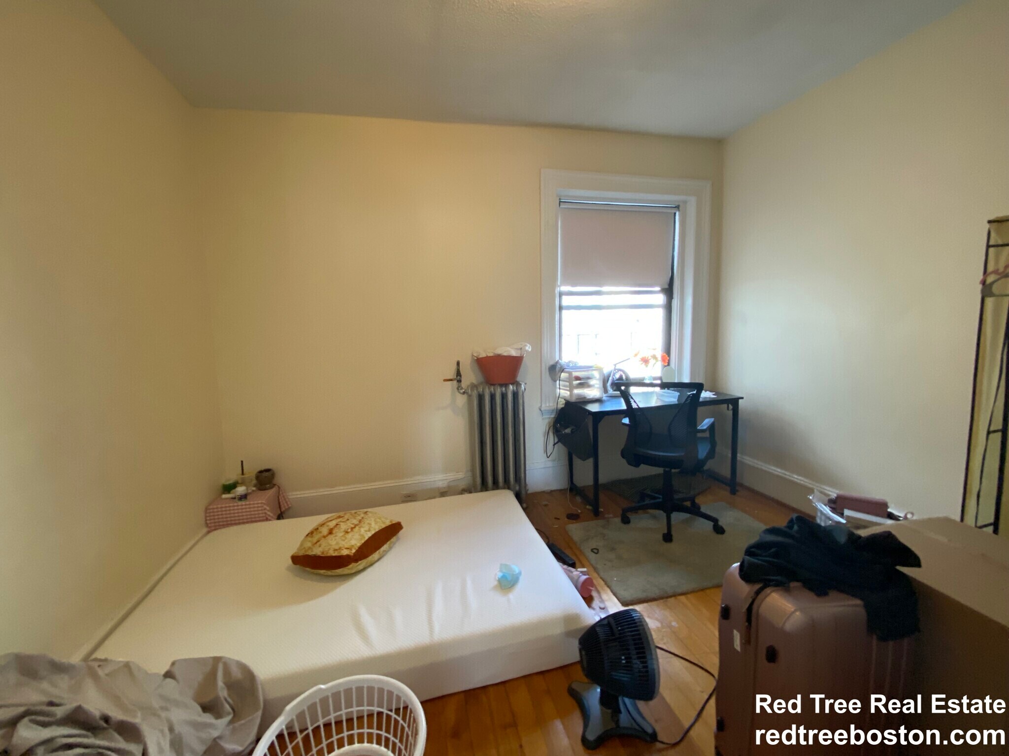 Building Photo - 23 Brighton Ave