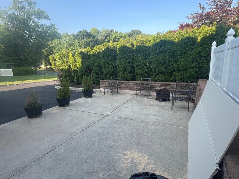 tree that give you privacy - 38 Hillsdale Rd