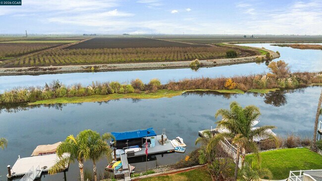 Building Photo - 500 Discovery Bay Blvd