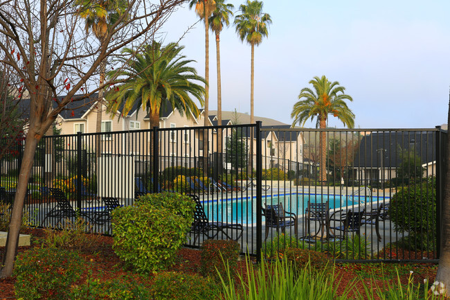 Building Photo - Bay Vista at Meadow Park