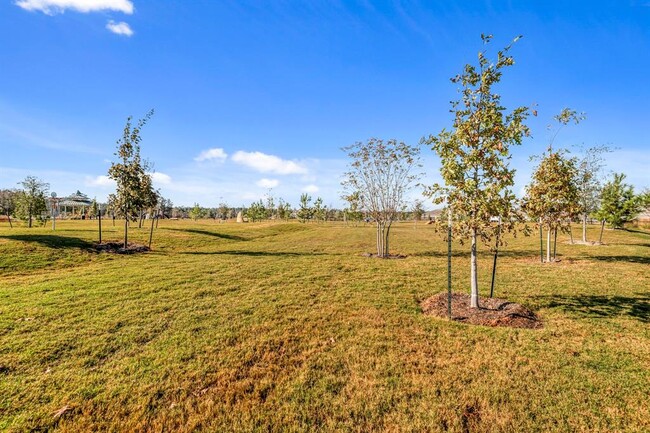 Building Photo - 16454 Blossom Grv Dr