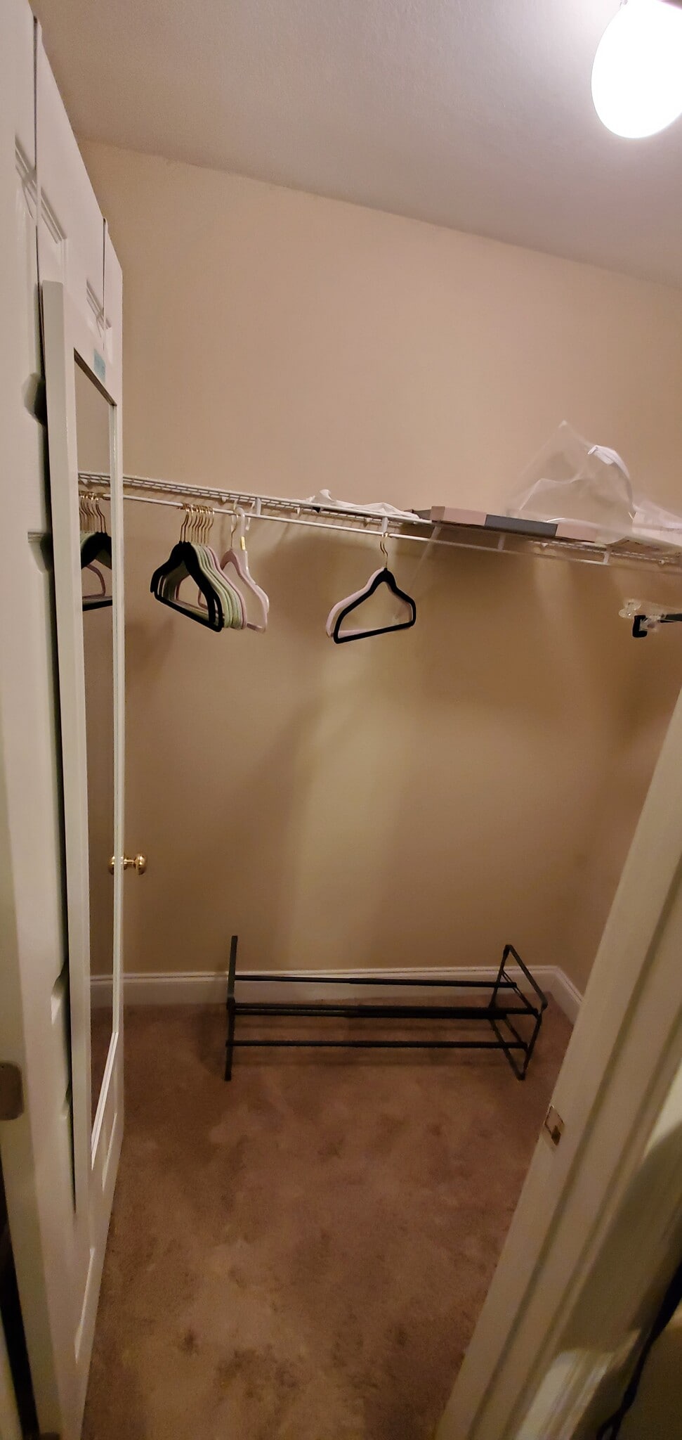 Building Photo - 807 W Longleaf Dr