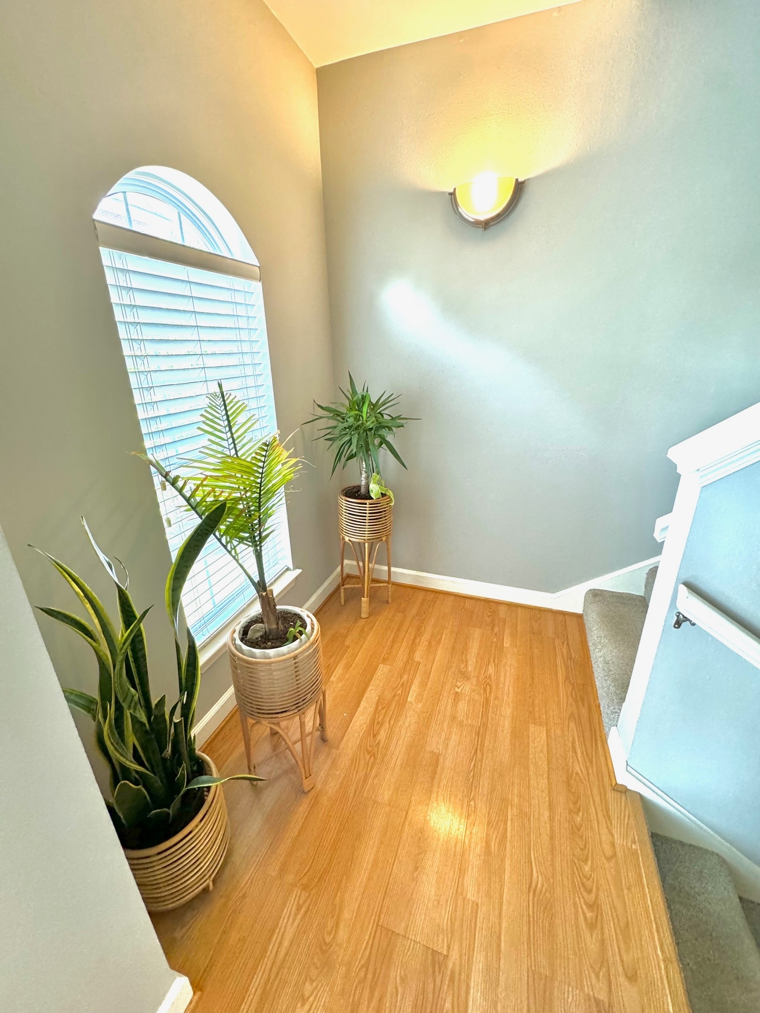 Building Photo - 2638 McKnight Crossing Ct