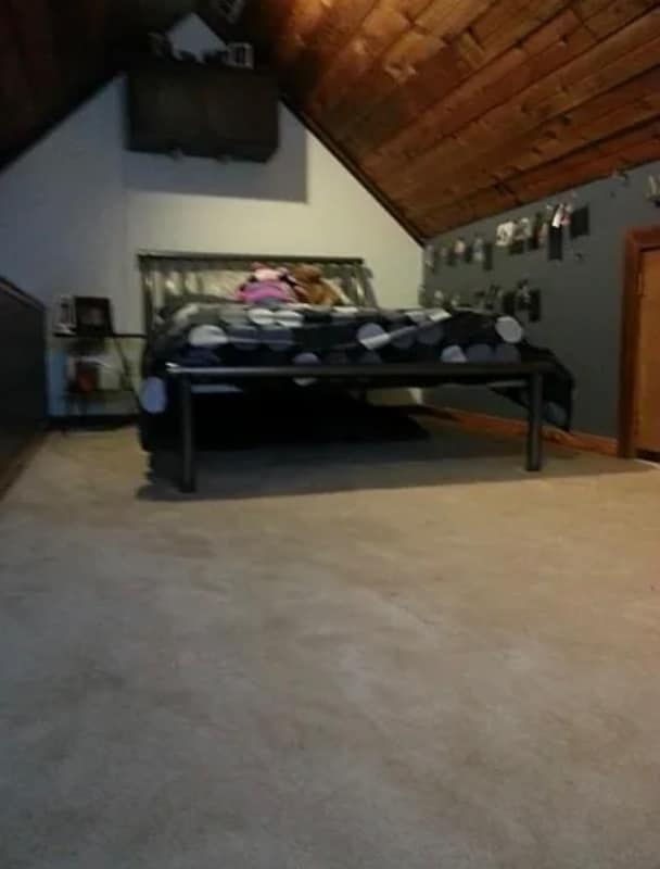 Building Photo - 45 Blackstock Dr