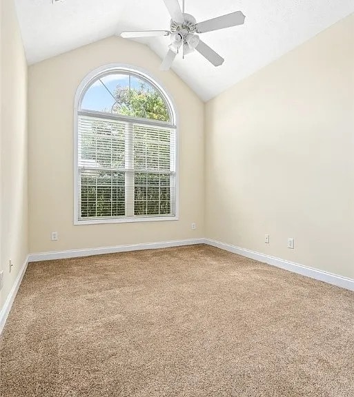 Building Photo - 1317 Tulip Ct