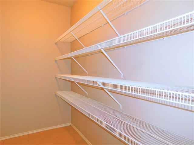 Building Photo - 2408 Rolling Ridge Dr