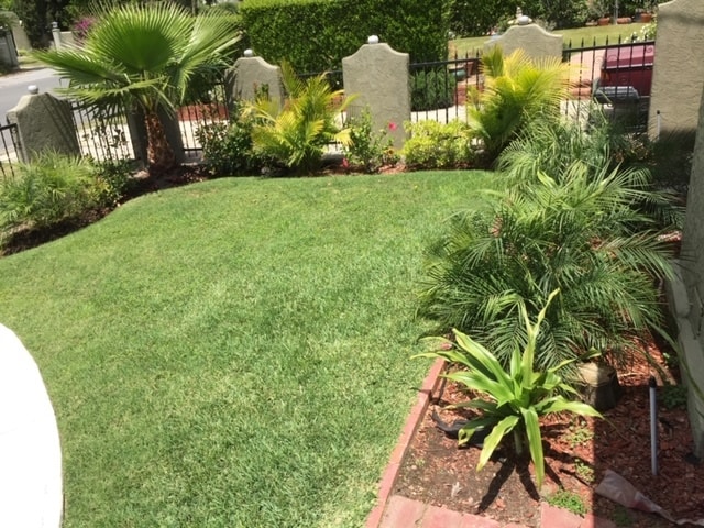 Front yard - 1968 El Molino Ave