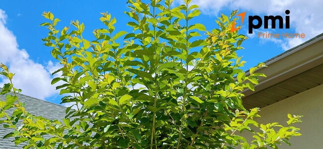 Building Photo - 17948 Passionflower Cir