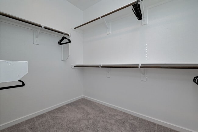 Building Photo - 559 Longleaf Pine Dr