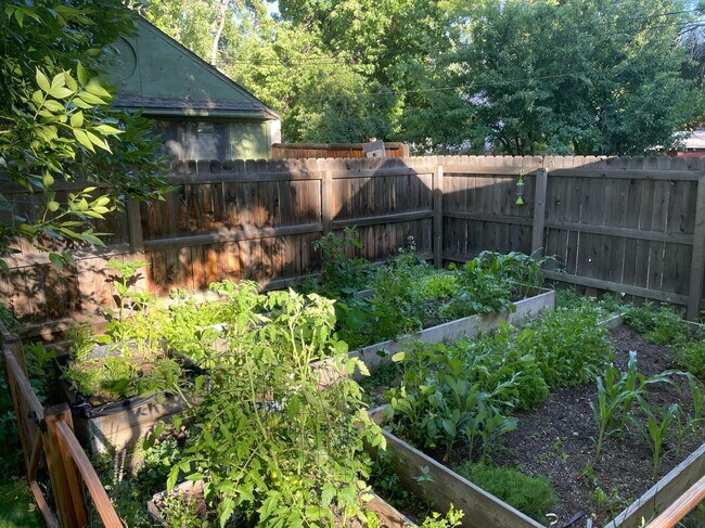 Building Photo - 417 E Magnolia St