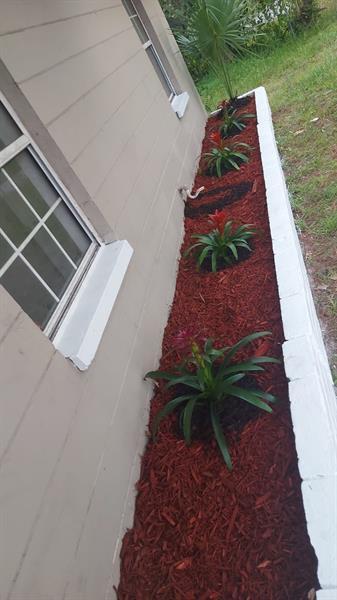 Building Photo - 216 Maria St