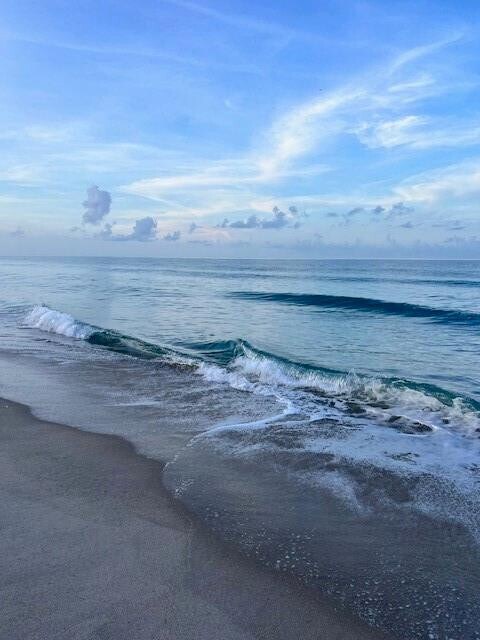 Building Photo - 3880 N Hwy A1A