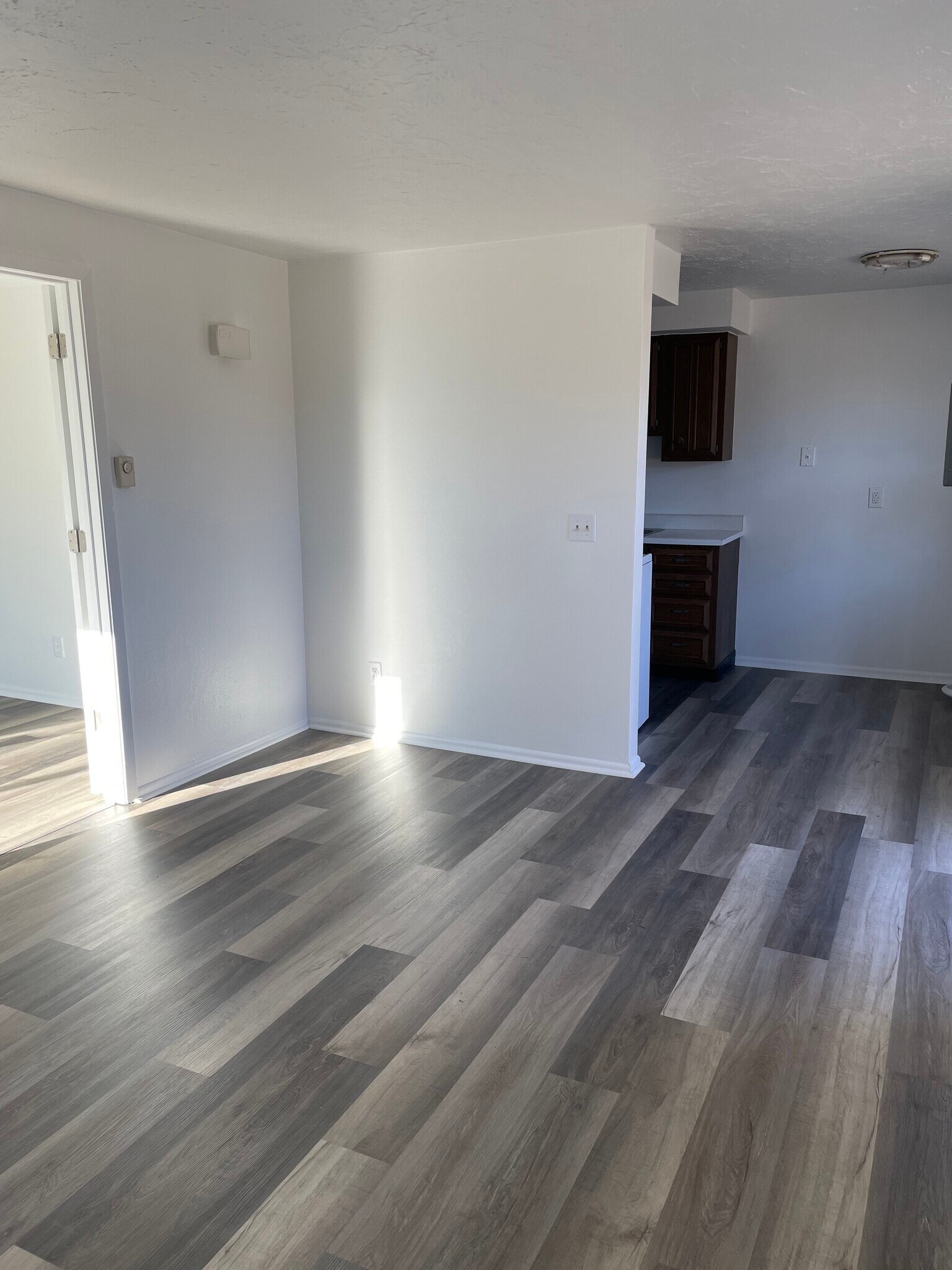 Living area - 110 S West St