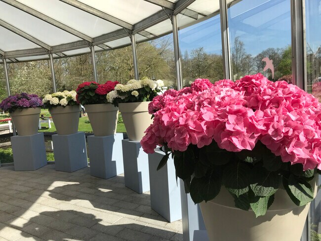 Building Photo - 215 Bibro C