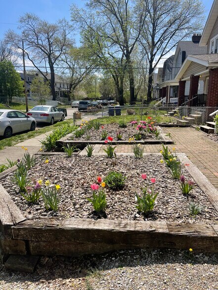 Front garden beds - spring perennials - 2441 Medary Ave