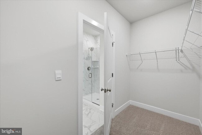 Building Photo - 115 Trellis View Ln