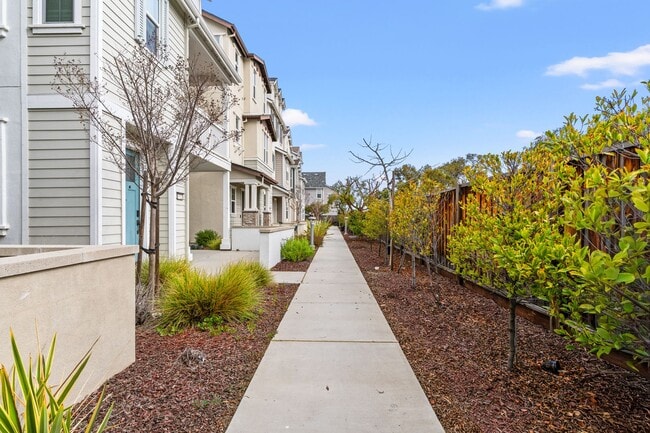 Building Photo - Sun-Filled Corner 4BR w/ Dual Yards & Panoramic Indoor-Outdoor Flow