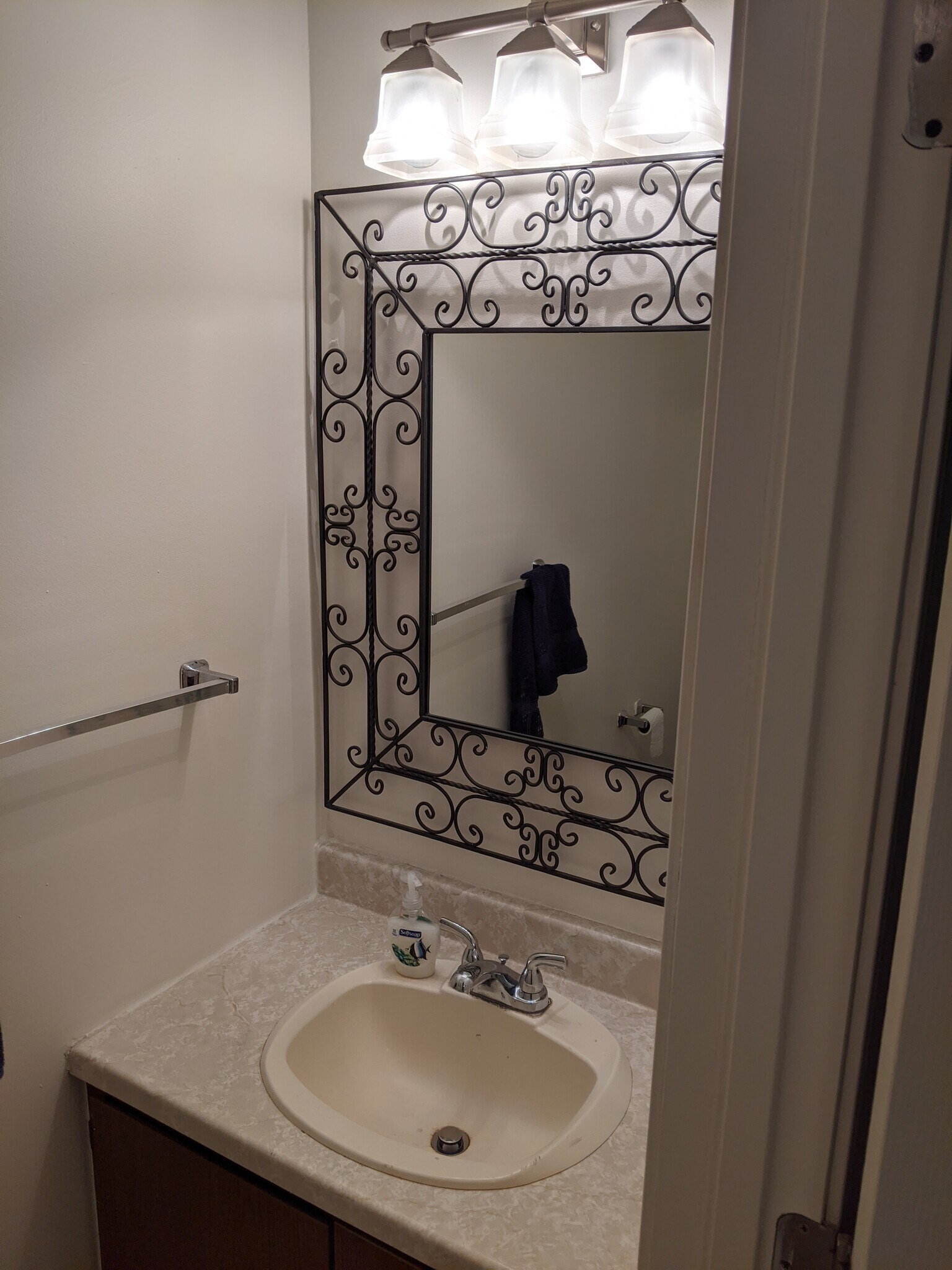 Downstairs bathroom - 143 Clover Valley Cir
