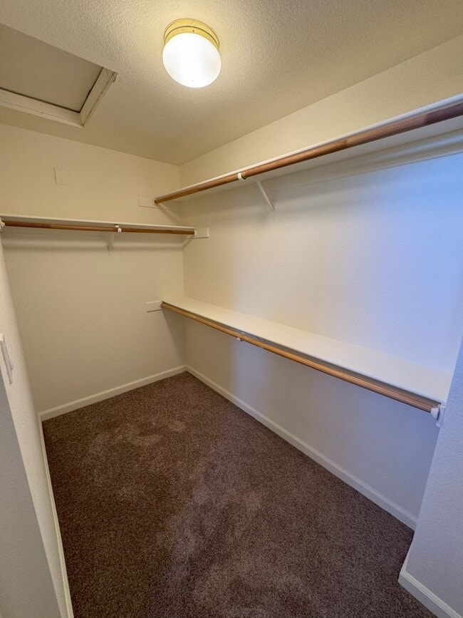 Building Photo - 4904 Brittany Ct