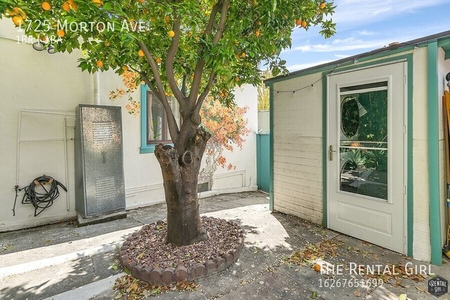 Building Photo - 1725 Morton Ave