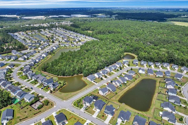 Building Photo - 127 Pine View Crossing