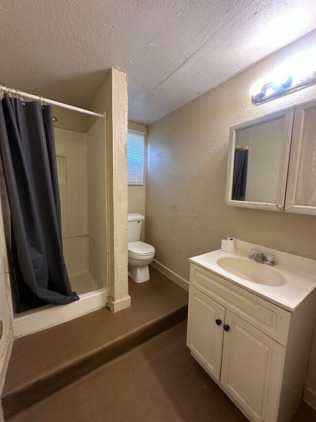 Building Photo - Across the Street from Sam Houston Park!!