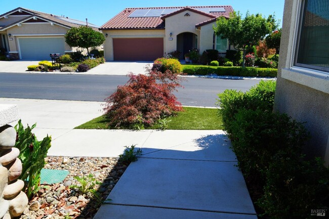 Building Photo - 415 Belvedere Dr