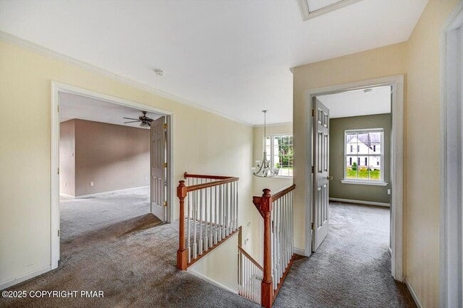 Building Photo - 115 Daffodil Dr