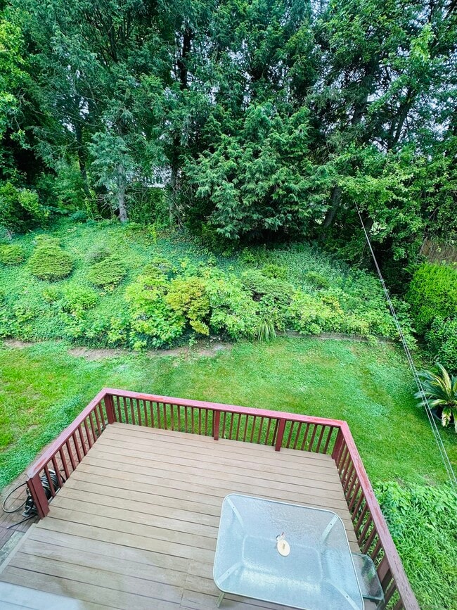 Building Photo - 61 Sandy Brook Dr