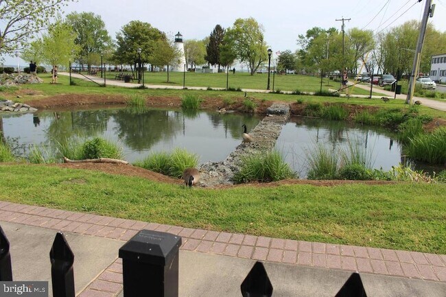 Building Photo - 421 Concord St