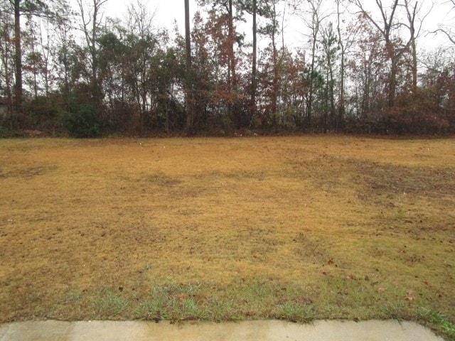 Building Photo - 2508 Hannah Haven Dr