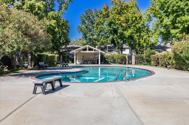 Swimming pool - 2323 Samaritan Dr