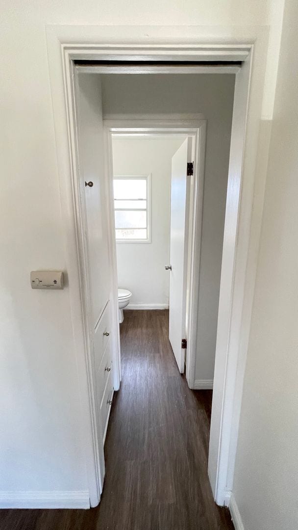 Building Photo - Beautiful Belmont Heights Studio for Rent!